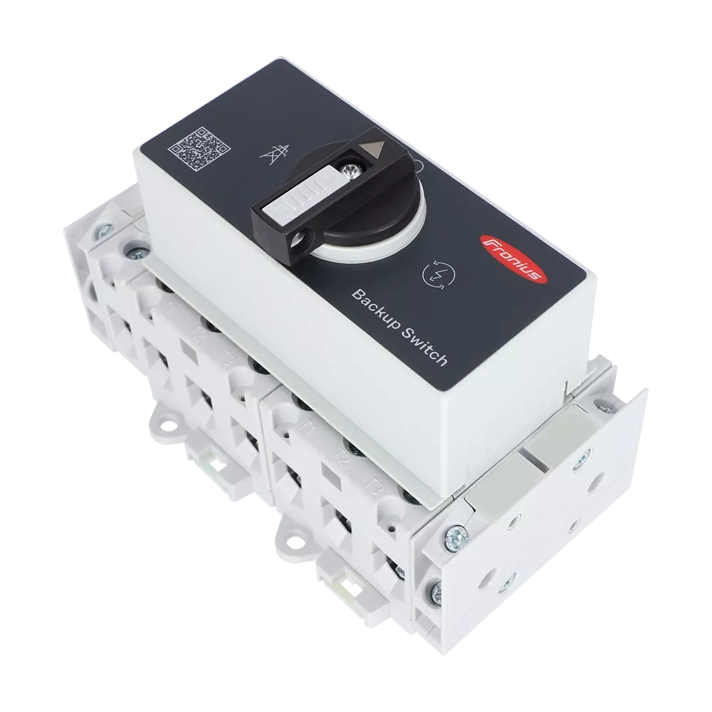 Backup Switch